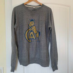 Vintage Brand UC Davis sweatshirt, Size M